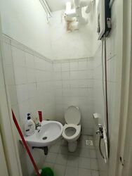 Tiara (D9), Condominium #554797441